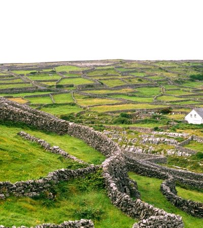 http://www.annee-scolaire-etranger.org/wp-content/uploads/2018/07/Inishmaan_Gardens_OK-400x450.jpg