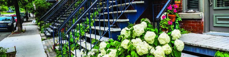 http://www.annee-scolaire-etranger.org/wp-content/uploads/2018/10/CAN_A9R709F-800x200.jpg